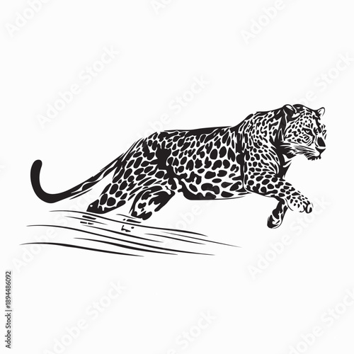 Leopard Running Through Savanna Image Vector Isolated on White Background