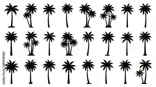 Collection of various palm tree silhouettes on white background
