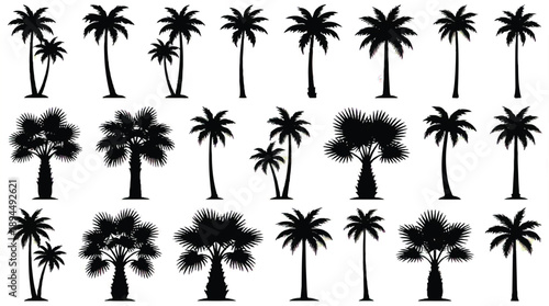 collection of various palm tree silhouettes on white background