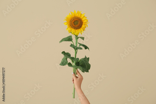 Female hand with beautiful ...