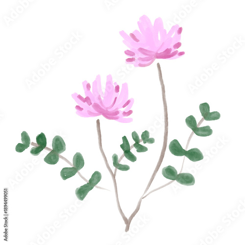 やさしく咲くレンゲソウの水彩風イラスト　春の野原を感じるシンプルな草花素材