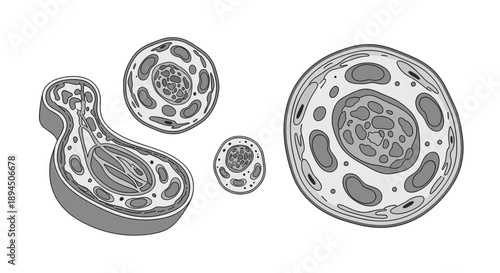 A minimalist illustration of a brake disc, ideal for automotive content with a modern, clean aesthetic.