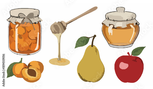 Vintage hand drawn fruit and preserve elements with apricot jam jar honey pot pear and apple vector set isolated on white