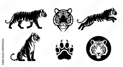 Collection of Black and White Tiger Illustrations and Icons.