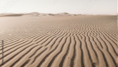 Vast, sandy desert expanse.  Rippled texture