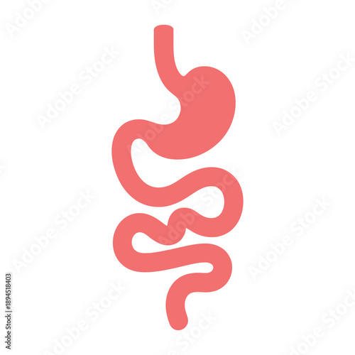 Human Digestive System and Intestines Flat Medical Illustration