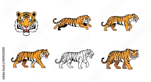Collection of Tiger Illustrations in Various Poses.