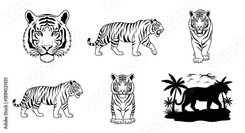 Collection of Tiger Illustrations in Various Poses and Styles.