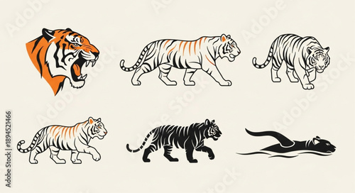 Collection of Tiger Illustrations in Various Poses and Styles.