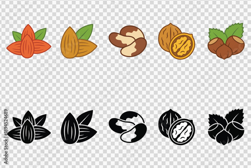 Nuts and seeds collection set with almond walnut and hazelnut vector illustration