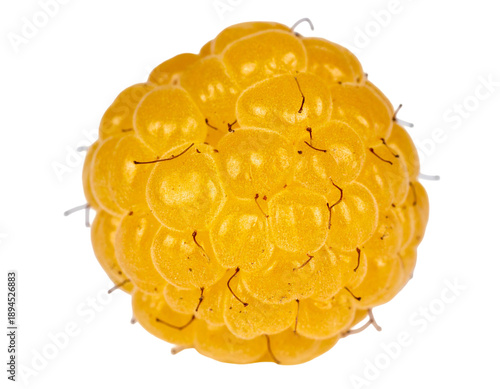 A single, bright yellow, rounded berry with many drupelets