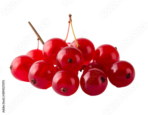 A vibrant cluster of bright red berries, glistening and fresh on stems