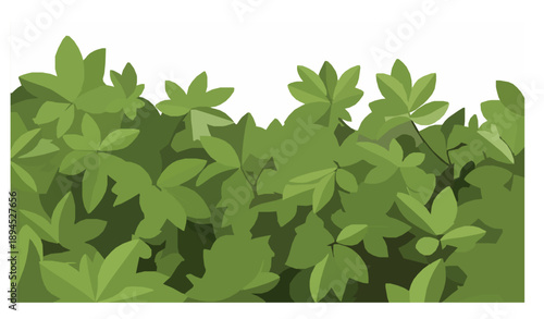 Green tropical tree branch leaves foreground composition botanical foliage vector illustration isolated on white background
