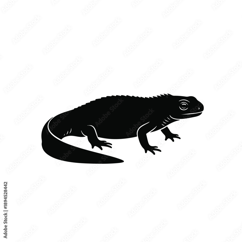 Fototapeta premium Iguana lizard silhouette lying isolated on white background