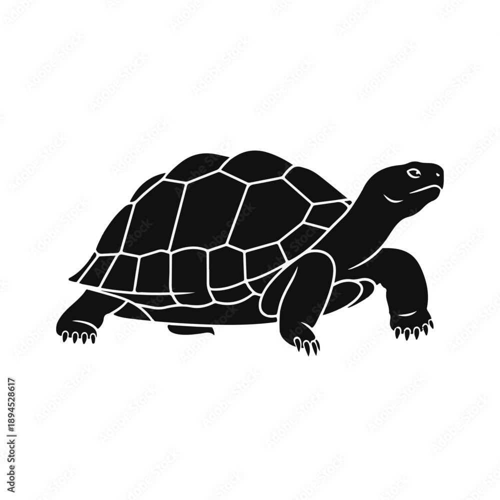 Naklejka premium Land turtle silhouette walking isolated on white background