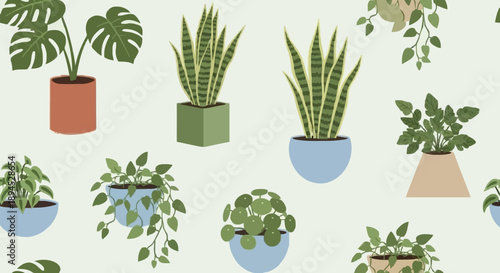 Assortment of Potted Houseplants in Various Containers.