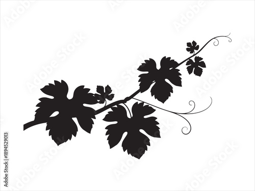 Black grape vine with leaves silhouette vector, A black silhouette of a grapevine branch with leaves vector illustration
