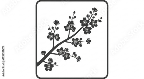 Black cherry blossom branch with flowers and buds in rectangular frame on white background