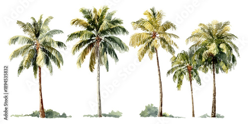 Vintage style watercolor illustration featuring a row of tropical palm trees isolated on a white background
