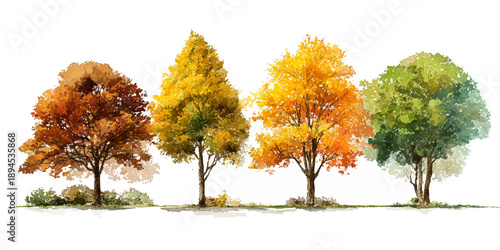 Row of four watercolor trees illustrating the vibrant colors of autumn foliage against a white background