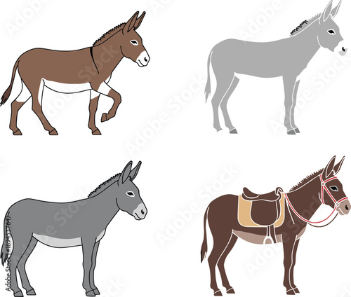 Donkey vector illustration set featuring farm pack animals with saddle and harness, rural livestock collection, working mule characters, and countryside design elements