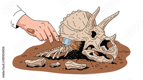 Close up of an archeologist hand using a small brush to carefully clean dirt from the skull of a triceratops dinosaur fossil.