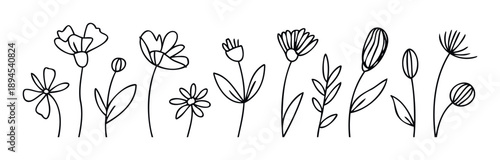 Minimalist black outline flora collection featuring diverse botanical line drawing elements perfect for spring seasonal designs, branding, greeting cards, and textile prints.