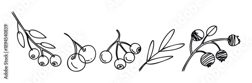 A monochrome linear drawing collection featuring various berries and leaves, perfect for natural food packaging, agricultural branding, or botanical themed graphic design projects