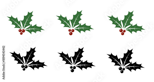 Holly berries and leaves. Holly berry leaf illustration set with green and black silhouette versions, isolated on a clean white background