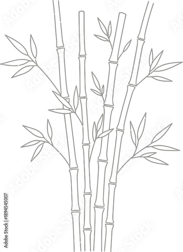 Simple black outline drawing of several tall bamboo stalks with sparse leaves isolated against a bright white background representing nature art