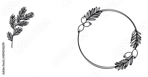 Outline drawing of a natural fir tree branch and festive round border with berries for seasonal graphic decor and eco friendly event print