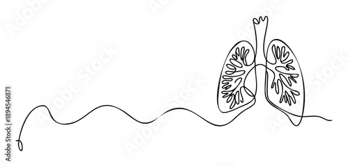 Simple continuous line visual of the human respiratory system and healthy lungs, perfect for medical presentations, health awareness, and wellness communications.
