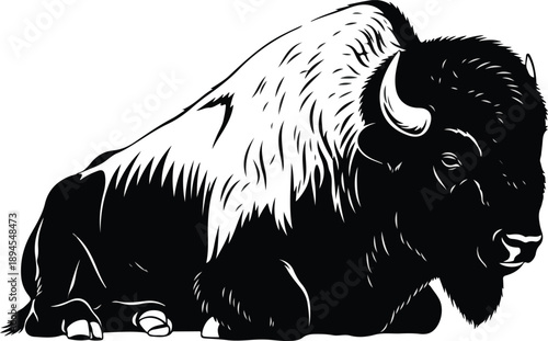 Bison Head Silhouette