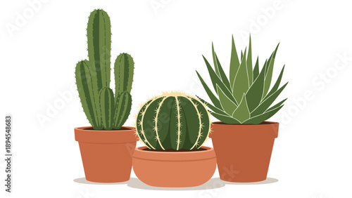 Three different species of green cactus and succulent plants growing in terracotta pots arranged together on a neutral background.