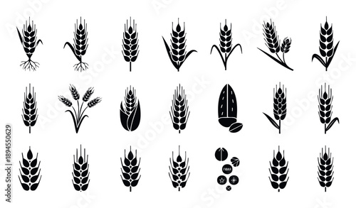 Curated collection of stylized wheat and grain plant icons, including detailed spikes and roots, plus abstract fiber symbols, ideal for organic food packaging, agricultural branding, and