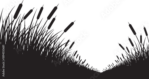Silhouette of cattails against a white background landscape scene