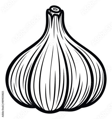 Minimalist black and white line drawing of a complete garlic bulb, perfect for kitchenthemed graphic assets, recipe illustrations, culinary blog posts, or food product packaging.