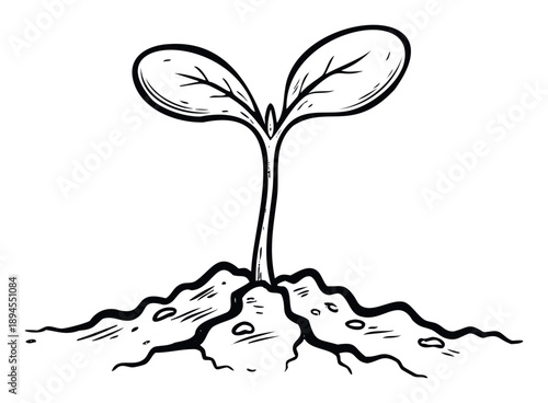Depiction of a delicate plant sprout emerging from fertile soil, symbolizing growth, new beginnings, and environmental consciousness for agricultural education and nature themed projects