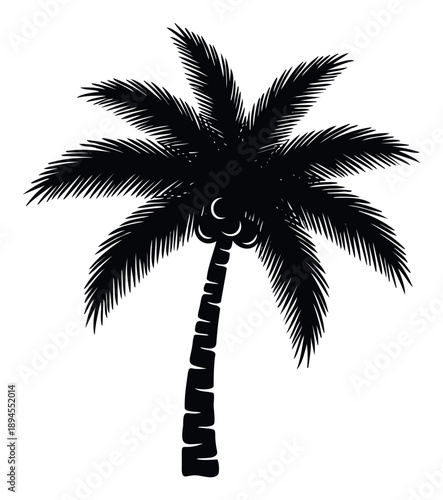Tropical palm tree silhouette standing tall with its fanning fronds and fruit clusters providing a striking visual for summer vacations or exotic travel promotions