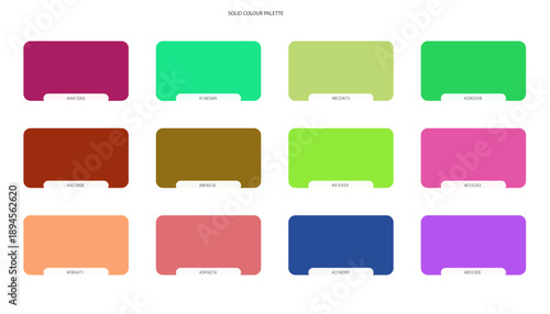 Vibrant Solid Color Palette Swatches for Graphic Design isolated on White Background