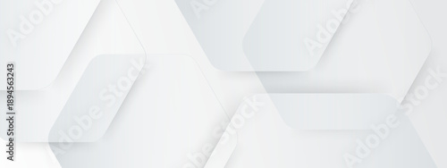 Elegant white and grey 3D minimalist hexagon geometric pattern background