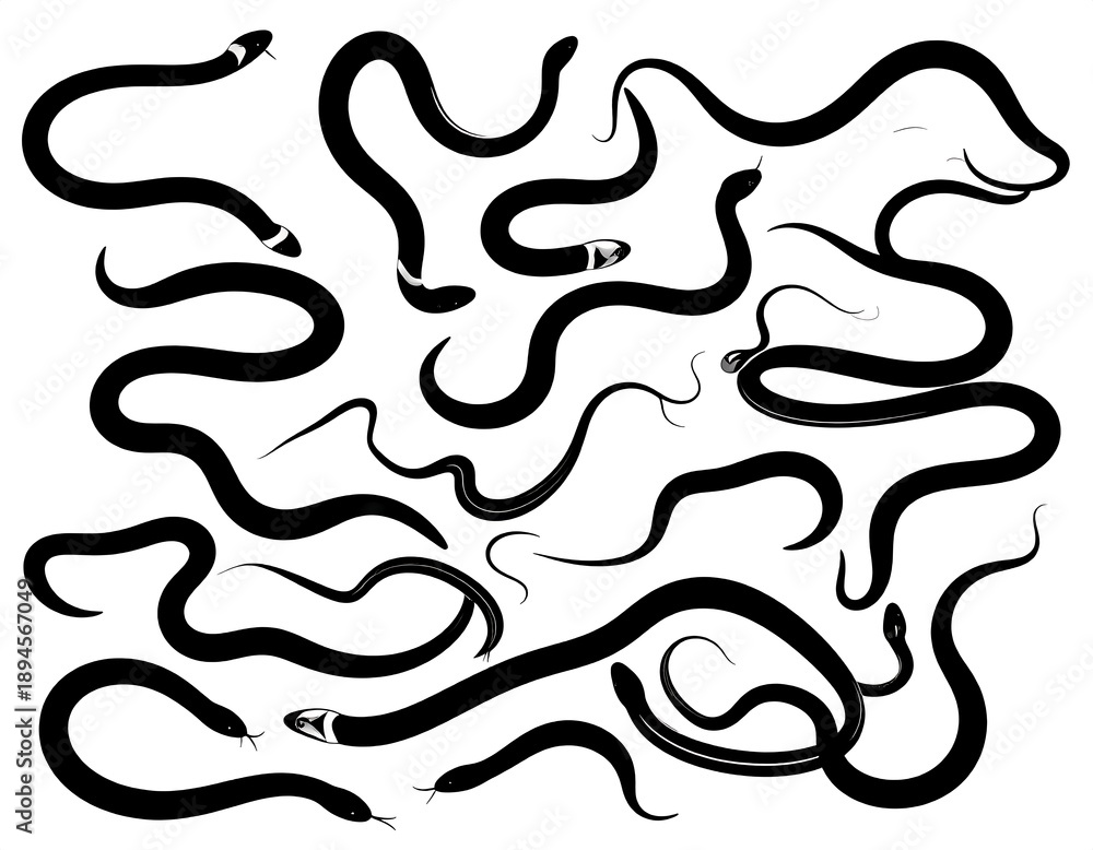 Fototapeta premium Artistic depiction of numerous black snakes, various postures
