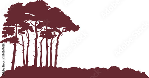 Silhouette of a cluster of pine trees and ground cover on a white background forest nature