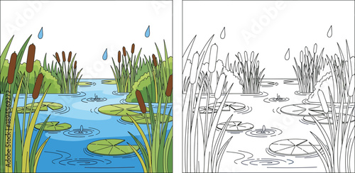 Rainy Pond Scene with Lily Pads and Cattails Nature Landscape Coloring Page
