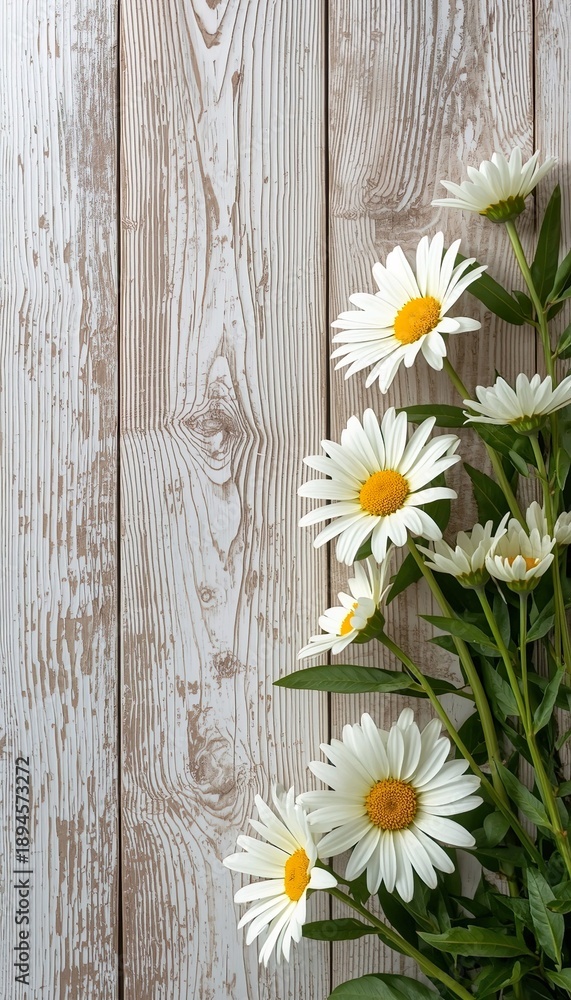 Obraz premium Beautiful white daisies bouquet on a light weathered wooden background with copy space.
