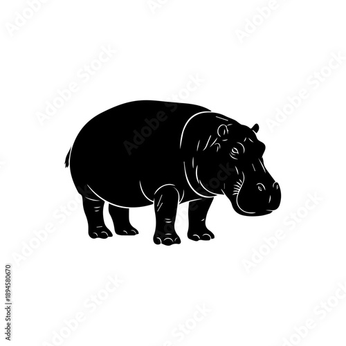 Hippopotamus standing in a serene natural environment viewed from the side in a detailed graphic illustration