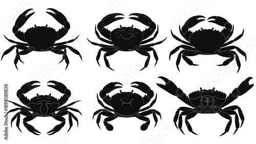 Black Silhouette Set of Marine Crabs, Seafood Crustacean Illustrations for Coastal Restaurant Menus, Ocean Wildlife Graphics, and Nautical Nature Design Elements,