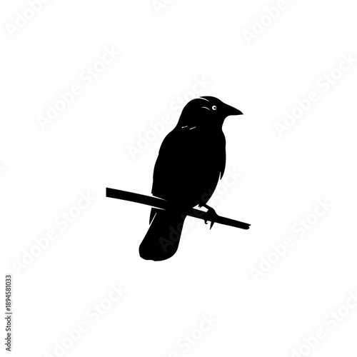 Black bird perched on a branch in a serene landscape viewed from the side