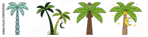 Palm tree  Flat Vector Illustration on Transparent Background