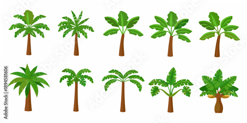 Collection of vibrant tropical palm trees and lush green foliage illustrations
